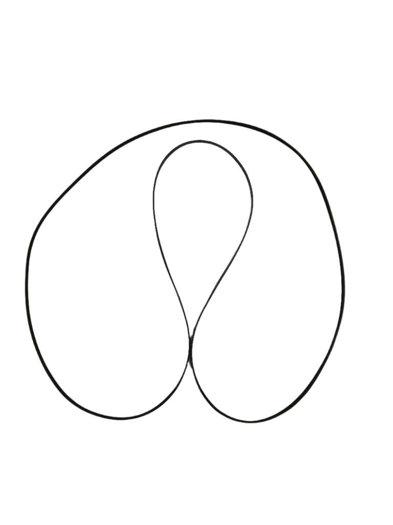 XP12M51 Dryer Drive Belt, Replaces WE12M51 - XPart Supply Ltd.