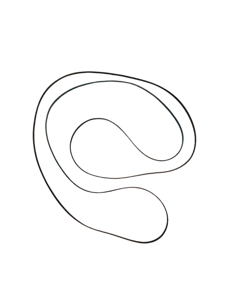 W11667280 Dryer Belt - XPart Supply Ltd.