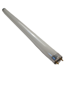 15W T8 Linear Fluorescent Lamp, 18", 4100K