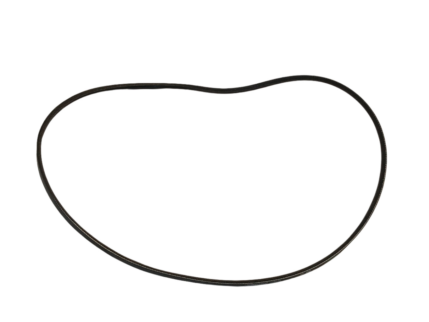WP20056498 Washer Drive Belt - XPart Supply Ltd.