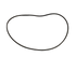 WP20056498 Washer Drive Belt - XPart Supply Ltd.