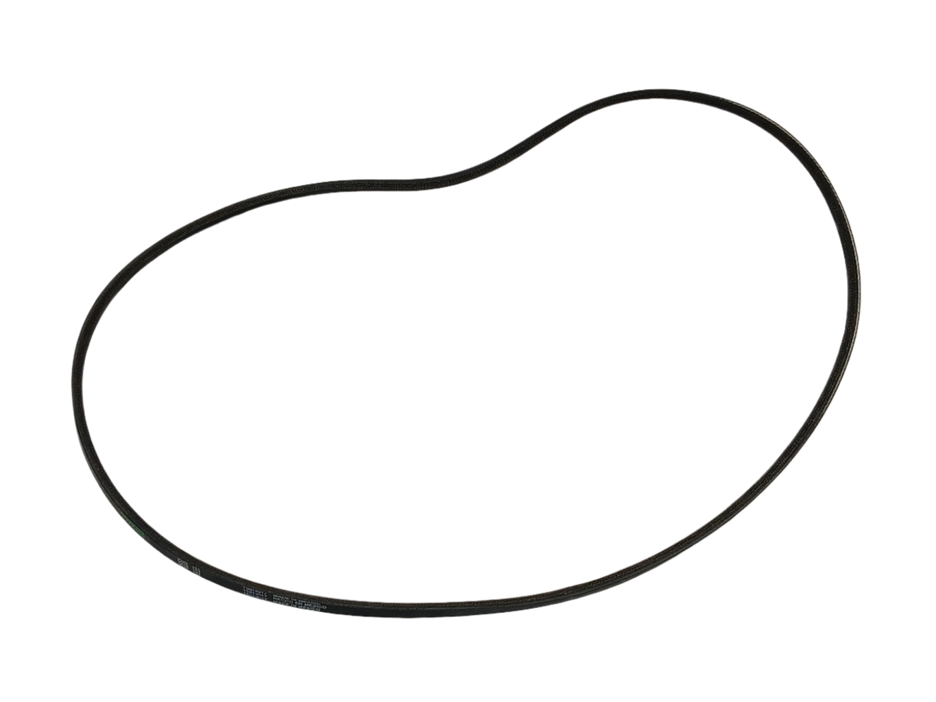 WP20056498 Washer Drive Belt - XPart Supply Ltd.