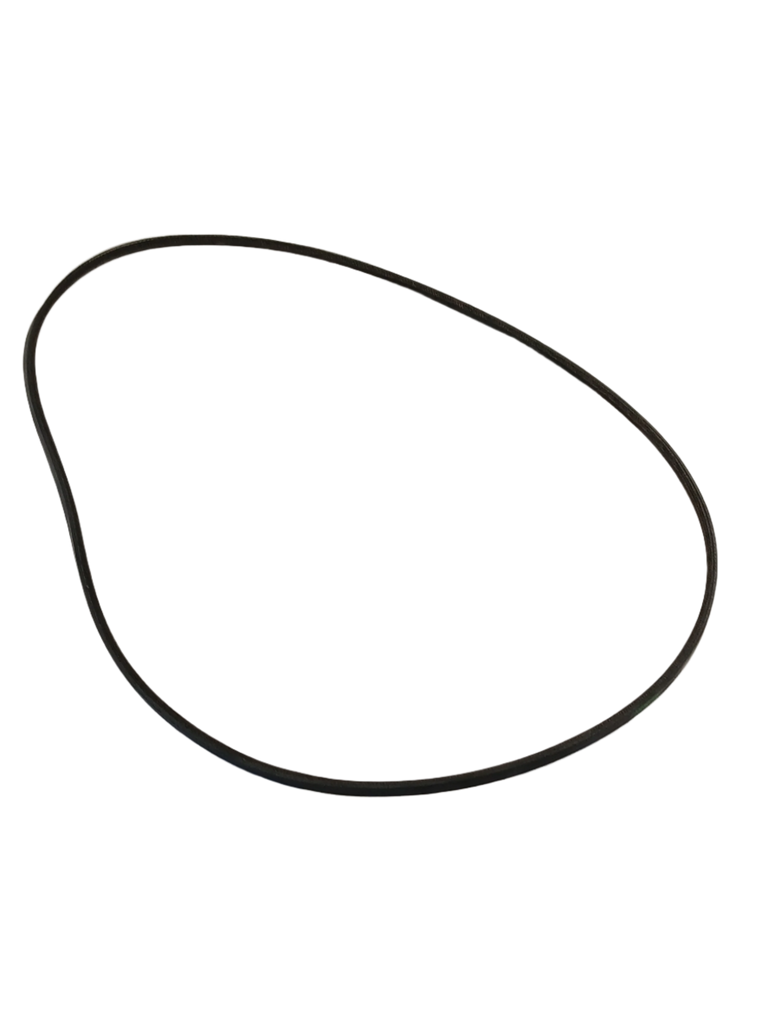 WP20056498 Washer Drive Belt - XPart Supply Ltd.