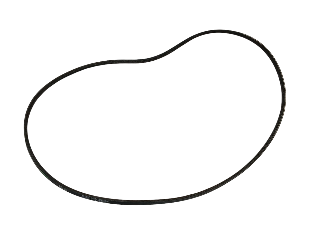 WP20056498 Washer Drive Belt