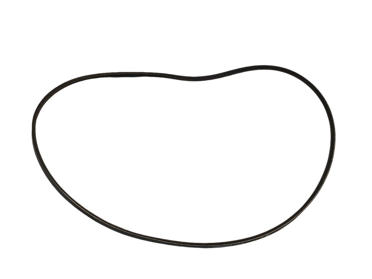 WP20056498 Washer Drive Belt