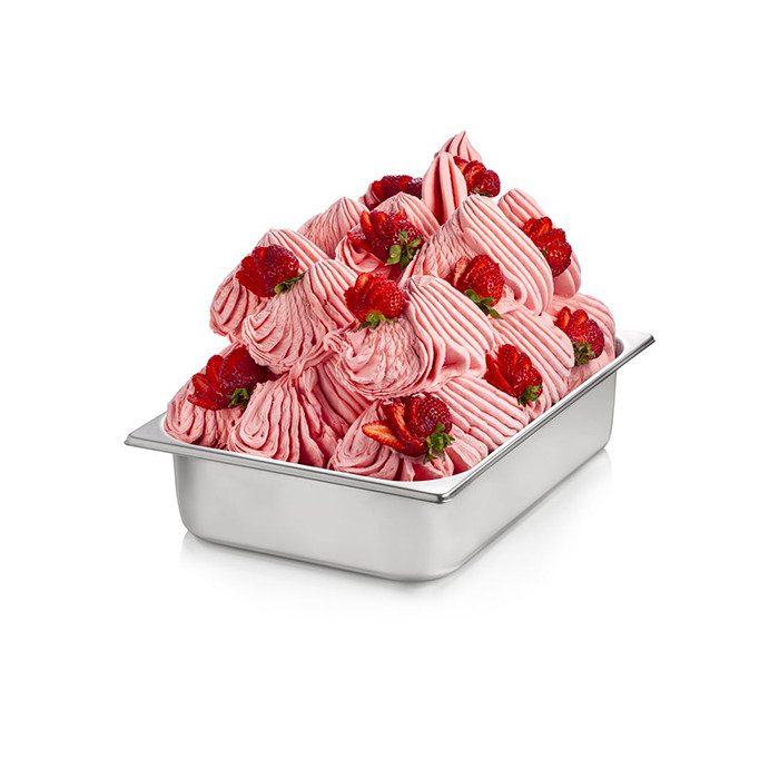 Ready Fruit 500 Vegetal - Fruit Gelato Base - Case of 4 x 3 KG bags - Rubicone Canada