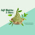 Soft Matcha 5 Stars Soft Serve Mix - Case of 8 x 1.5 KG bags - Rubicone Canada - Ships Free Within Canada on Orders Above CAD $199