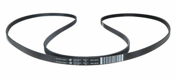 Dryer drive belt