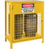 Gas Cylinder Cabinets, 2 Cylinder Capacity, 30" W x 17" D x 37" H, Yellow