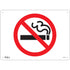 "No Smoking" Sign, 10" x 14", Plastic, Pictogram