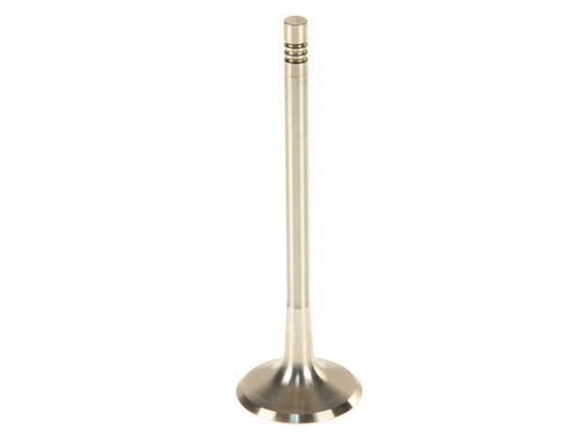 Intake Valve 331138