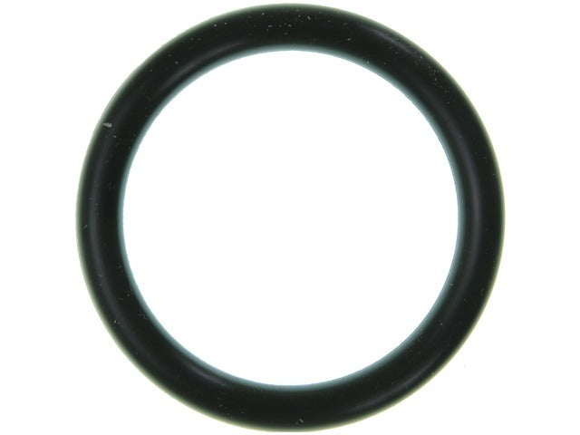 Water Pump O-Ring C31853