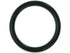 Water Pump O-Ring C31853