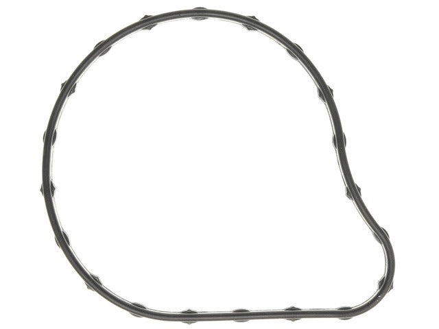 Thermostat Gasket C33804