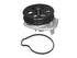 Water Pump 252-1009