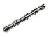 Camshaft 12619823
