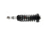 Strut/Coil Spring Assy SRG4171
