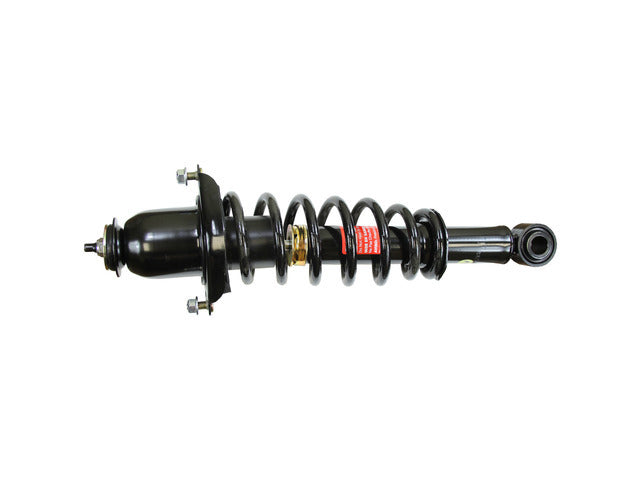 Strut/Coil Spring Assy 172991R