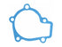 Water Pump Gasket 35628