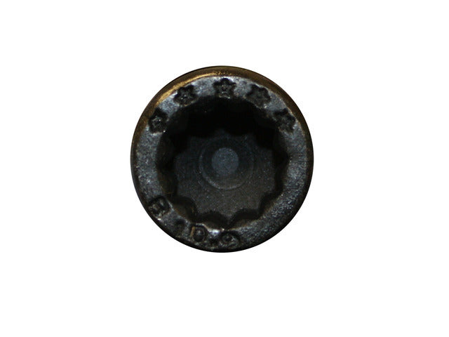 Cylinder Head Bolt 81032200