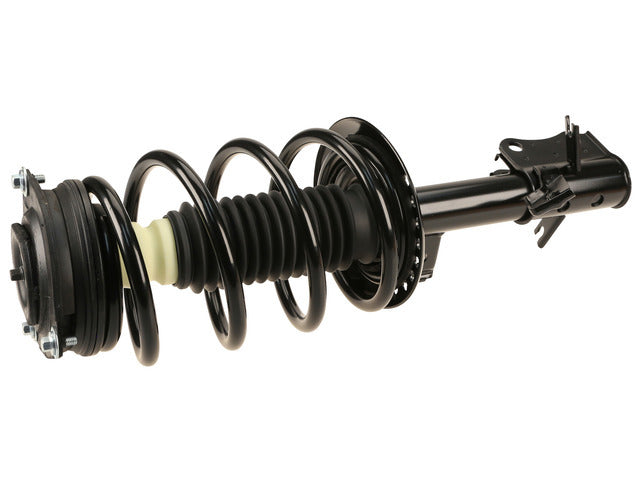 Strut/Coil Spring Assy 813860