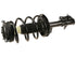 Strut/Coil Spring Assy 813860