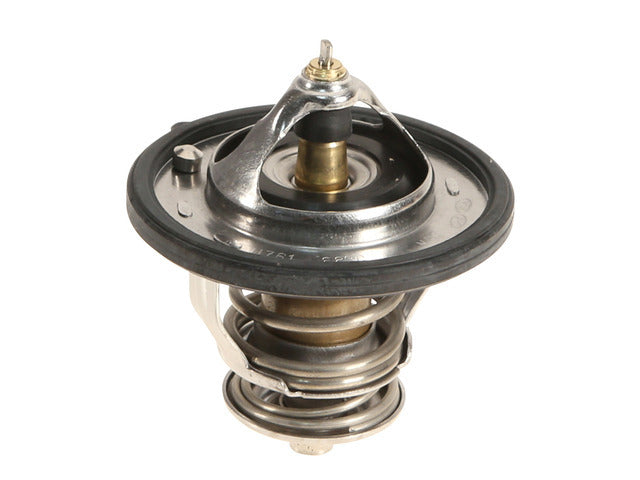Thermostat 255002E000