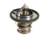 Thermostat 255002E000