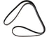 Drive Belt 1602-597041