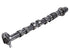 Camshaft 12675774