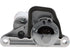 Starter M000TC5271