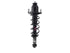 Strut/Coil Spring Assy SR4645