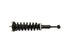 Strut/Coil Spring Assy 171119L
