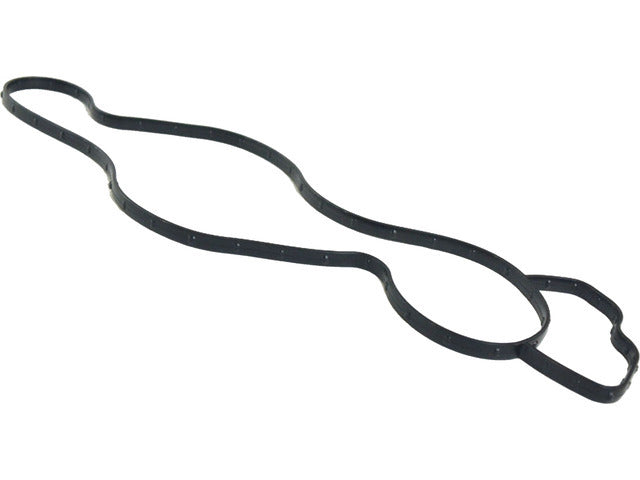 Water Pump Gasket 68165890AA
