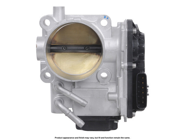 FI Throttle Body 672005