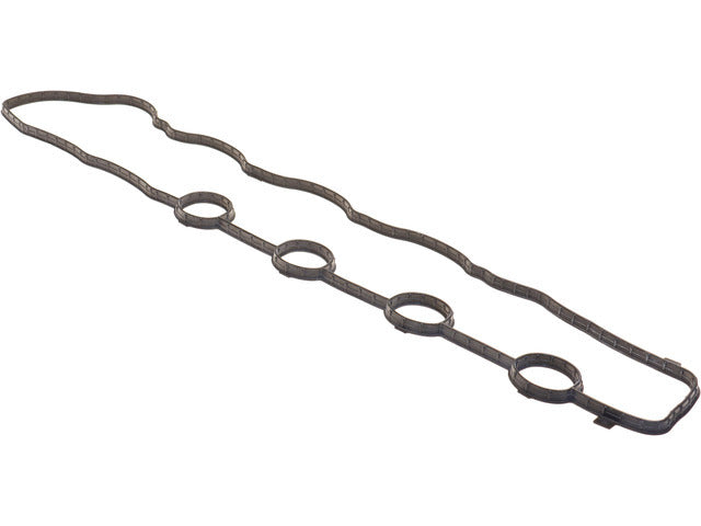 Valve Cover Gasket ACE020024