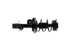 Strut/Coil Spring Assy SR4399