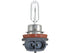 Headlight Bulb BLBH9