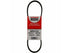 Drive Belt 6PK1115