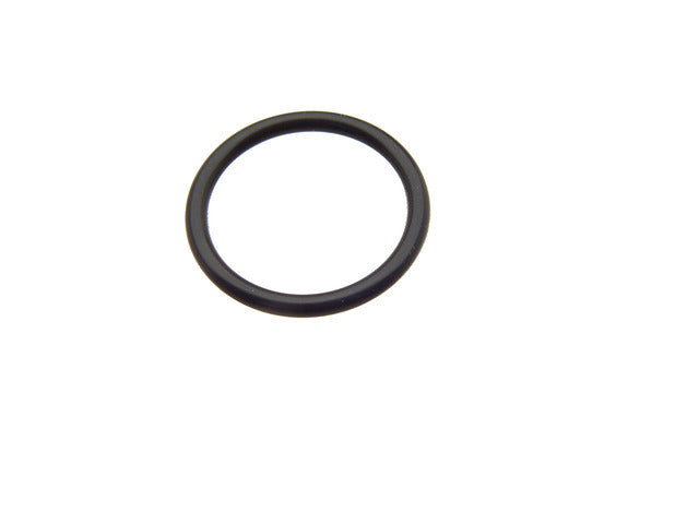 Timing Cover O-Ring 15066-31U02