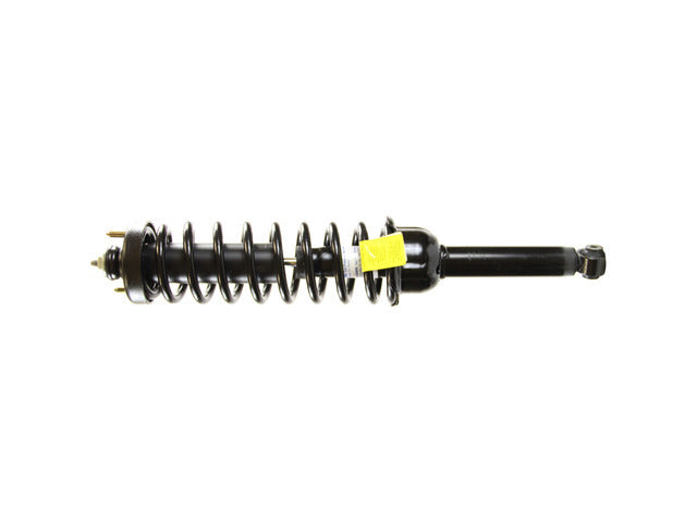 Strut/Coil Spring Assy 181325