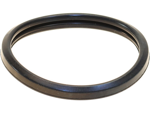 Thermostat Gasket AIA020001