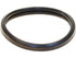 Thermostat Gasket AIA020001