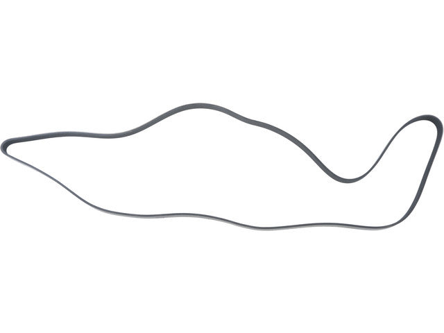 Drive Belt 1602-360318