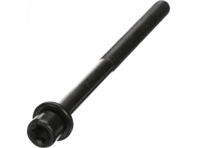 Cylinder Head Bolt 6509564AA