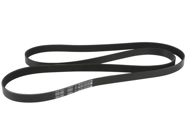 Drive Belt 5060780DR