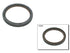 Crankshaft Seal 81-34819-00