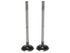 Exhaust Valve 2114106
