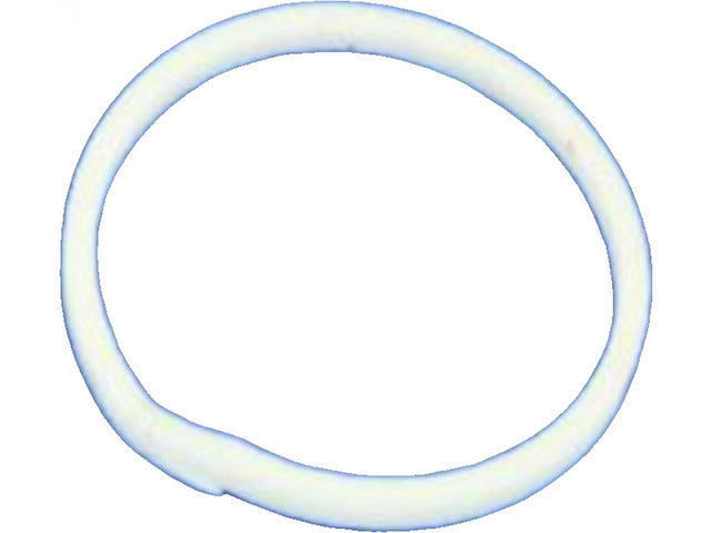 Input Shaft Seal 04799539