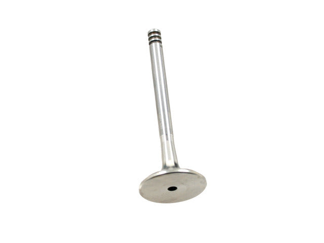 Exhaust Valve V94080